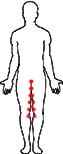 zip body1