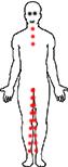 zip body3