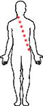 zip body4