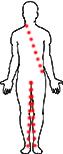zip body5