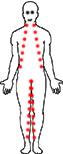 zip body6