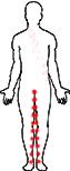 zip body8